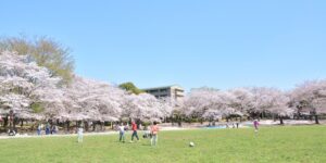 蕨市民公園まで311m
